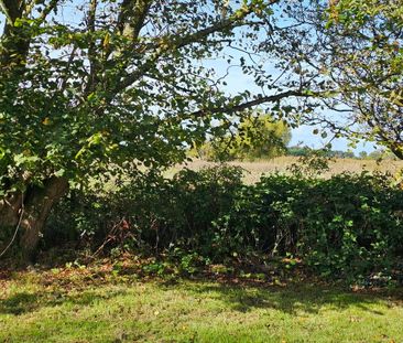 Lunt Lane, Liverpool, L29 7WL - Photo 3