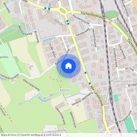 8800, Thalwil, Alte Landstrasse, 19