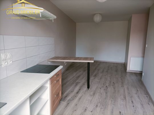 Location Appartement 1 pièce 36m² CHARLIEU 42190 - Photo 1