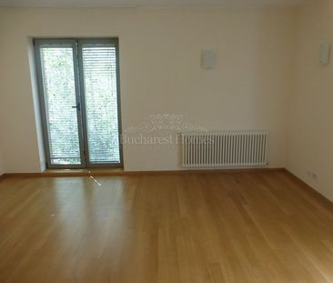 Four Bedroom House on Lake in Baneasa - Photo 5