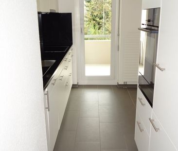 Modernes Wohnen in Zumikon - Photo 3