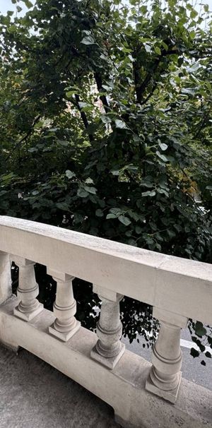 À LOUER ! Appartement 6 pièces avec balcon situé au 1er étage avec ascenseur d'un immeuble début XXème du début de l'Allée de la Robertsau entre la place Sébastien Brant et le parc de l'Orangerie - Photo 1