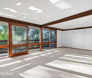 19A Kurralta Drive, Burnside SA 5066 - House For Rent | Domain - Photo 5