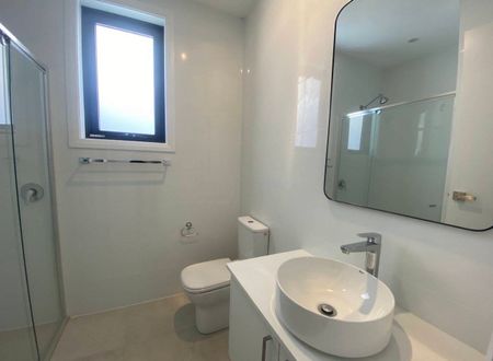 Near New One Bedroom Granny Flat - Photo 3