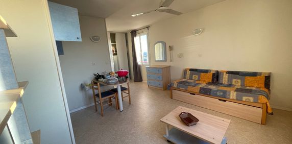 Location Appartement 1 pièce 25m² - Photo 2