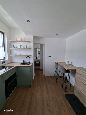 Apartament cu 1 camera, RENOVAT COMPLET, zona Vivo Mall - Fotografie 4