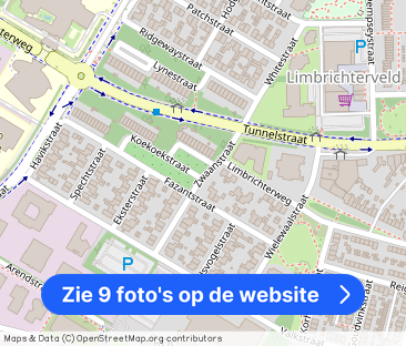 Woning aan de Zwaanstraat te Sittard - foto 1