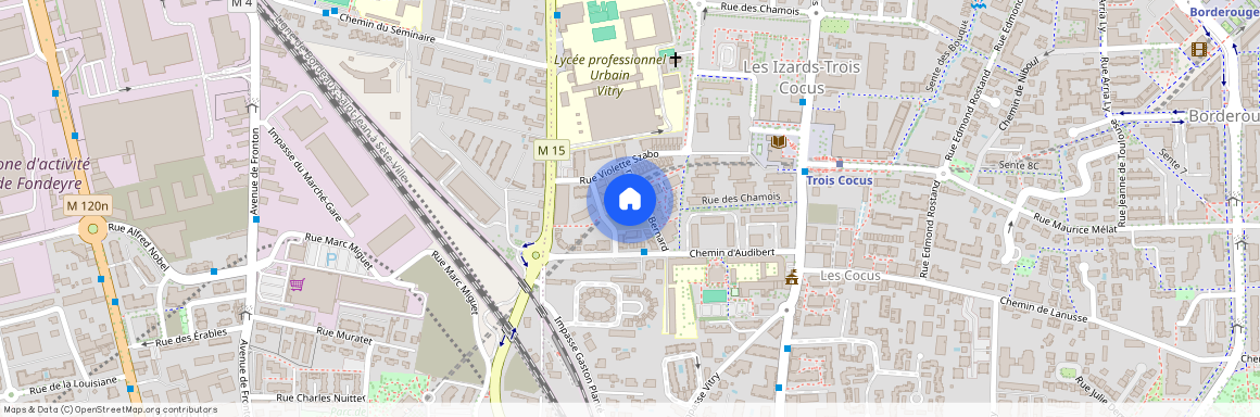 TOULOUSE - TROIS COCUS