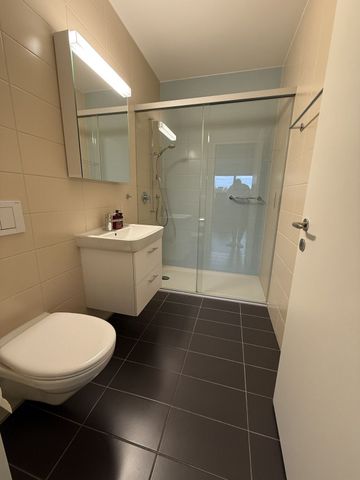 3-ROOM APARTMENT IN BADEN (AG), FURNISHED, TEMPORARY - Foto 5