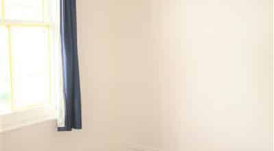 Kingsland Character - Photo 3