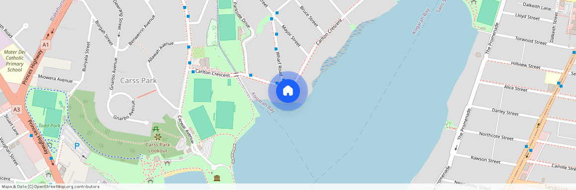 74 Carlton Crescent Summer Hill, Sydney, New South Wales 2130