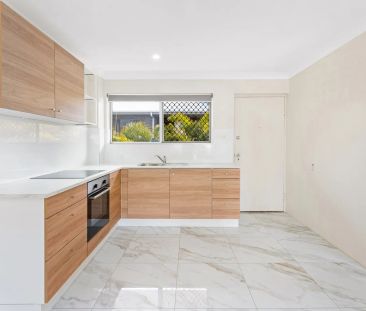 Newly Renovated Elevated Urban Retreat - Photo 3