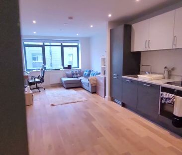 Apt 92 :: One Vesta Street - Photo 6