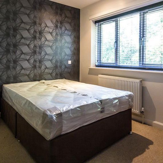 1 bedroom in a house share to rent - Photo 1