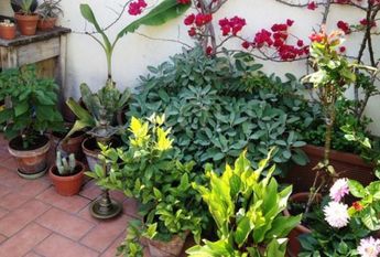 Attic-Piazza Navona: Short Stay. beautiful, fully furnished 1 Bedroom + Guest bed, 1 bath in period building with 2 large private terraces. Parquet floors, air conditioning, chef's kitchen, views, silent and bright. #2064