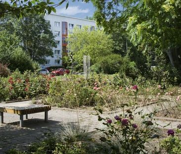 Schieloer Straße 10 - Harzer-Karree - Foto 4