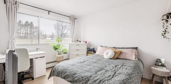 Appartement 3 ½ à louer Sainte-Foy / Sillery mars 2026 - Photo 2