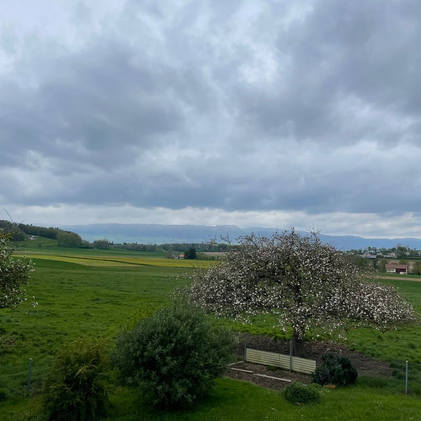 5.5 Zi.-Wohnung im 1. Stock mit Balkon - Le Château 40 - Foto 1