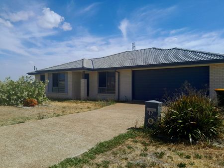 Great 4 Bedroom Home In Westdale - Photo 3