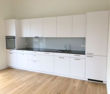 Spacious, modern, quiet and bright apartment on the ground floor - Photo 4