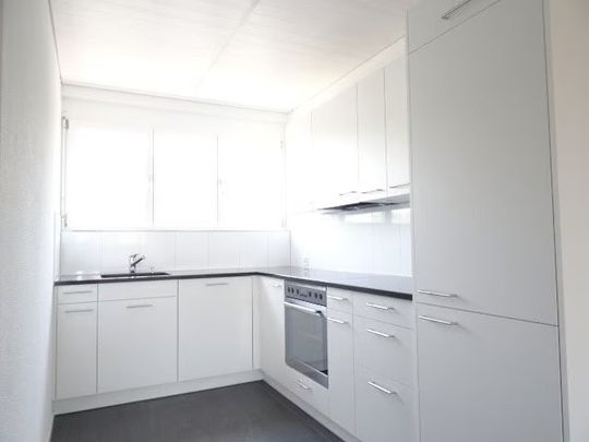 2.5 Zimmer, 60 m², 4. Stock - Foto 1