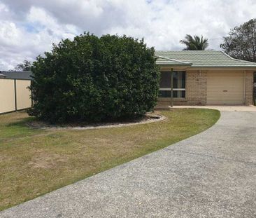Quiet and Renovated 3 Bedroom Home - Photo 2