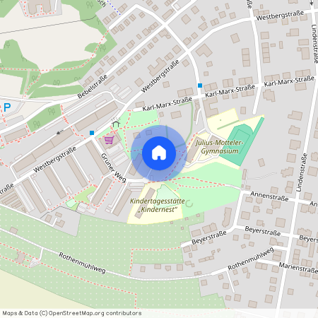 Grüner Weg 3, 08451 Sachsen - Crimmitschau