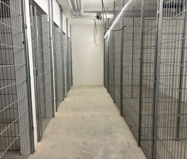 Tolle 2-Zi.Whg. in zentraler Lage mit Terrasse im EG zu vermieten! - Photo 6