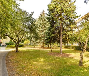 mazowieckie, Warszawa, Targówek, Bródno, Krasiczyńska - Photo 6