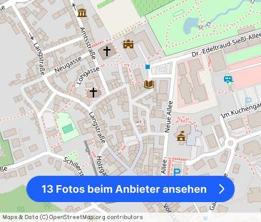 EUPORA® Immobilien: Wohnung in der Altstadt von Kirchheimbolanden. - Foto 1