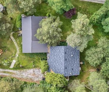 For Lease - 14170 Yonge Street Unit# Unit A, Aurora, Ontario - Photo 5