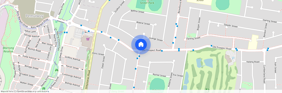 295 Old Prospect Road, NSW 2145, Greystanes