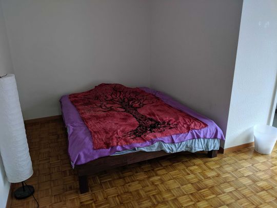 Singelwohnung an Top-Lage! - Foto 1