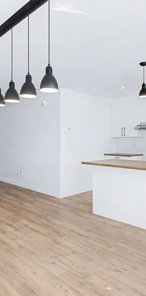 Très Grand 4 ½ Disponible Maintenant. - Photo 1