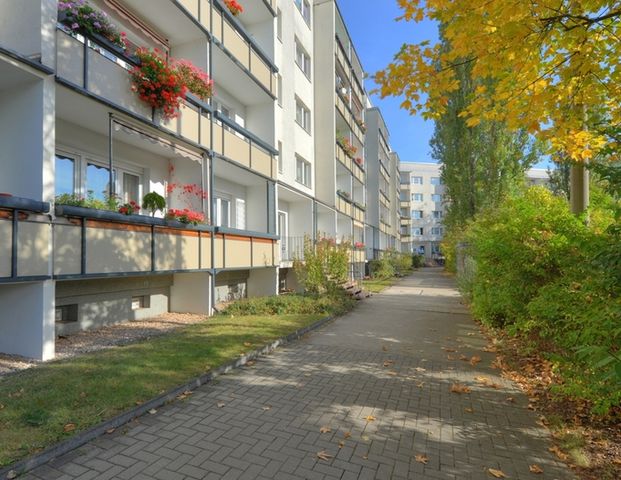 frisch renovierte Wohlfühlwohnung ab Mite Februar 26 - Foto 1