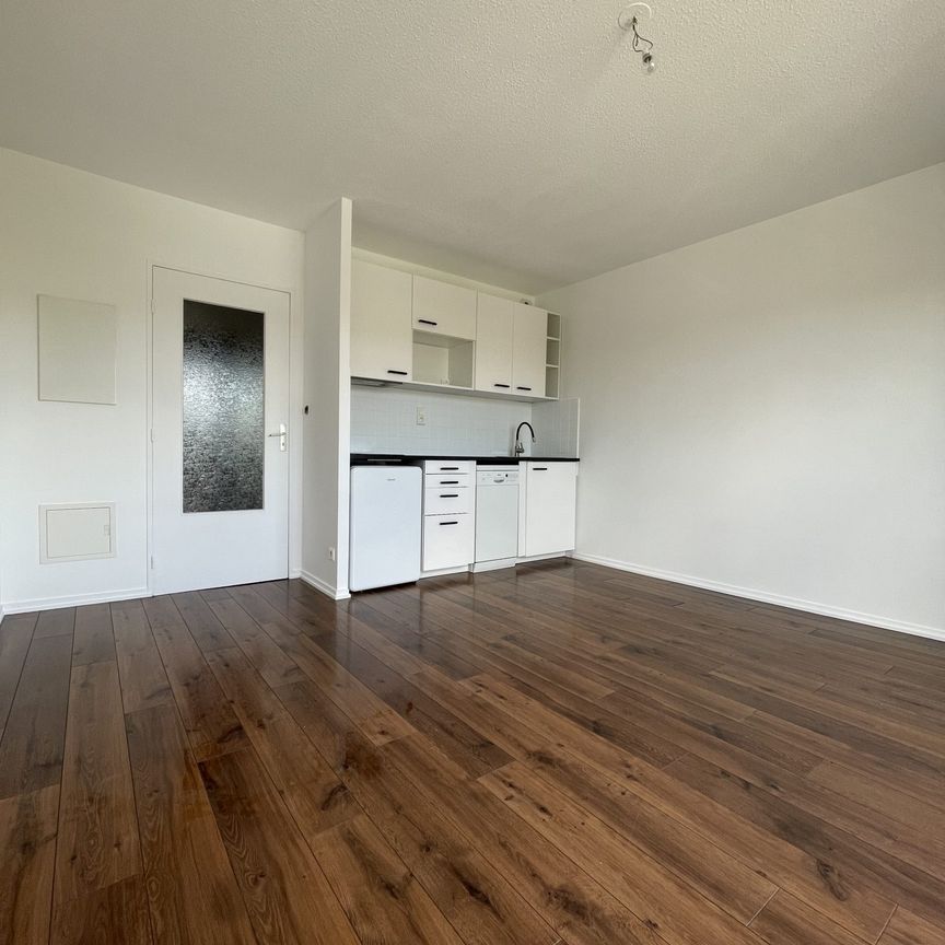 Location Appartement 1 pièce 23m² ONET LE CHATEAU 12850 - Photo 1