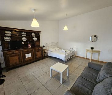 Location Appartement 2 pièces 55m² CHALAMONT 01320 - Photo 4