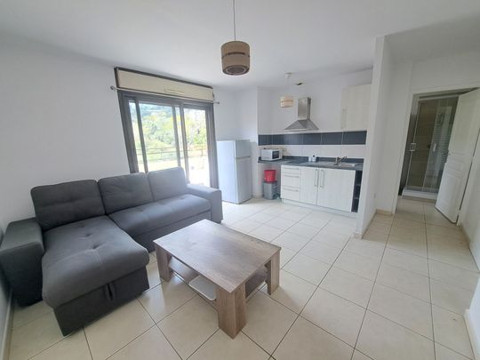 Location Appartement 1 pièce 26m² ST DENIS 97400 - Photo 1