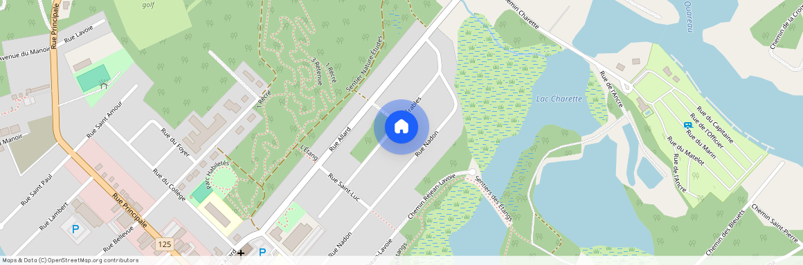 571 Rue des Érables, Saint-Donat (, Lanaudière, ), J0T2C0