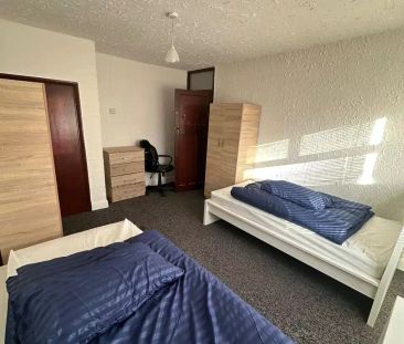 Big Single - Photo 4