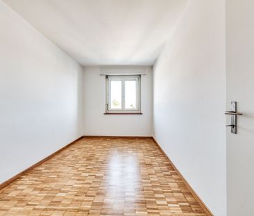 Living next to the Schüssinsel – Vivre près de l’île de la Suze - Foto 4