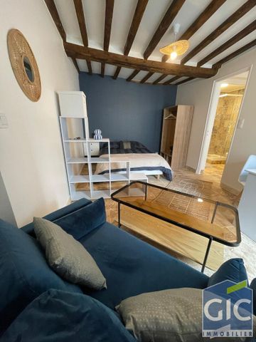 Location Appartement 1 pièce 25m² - Photo 3