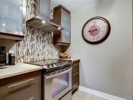 Unité moderne au rez-de-jardin - Photo 3