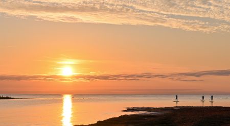 Skolkvior, Klintehamn - Photo 3