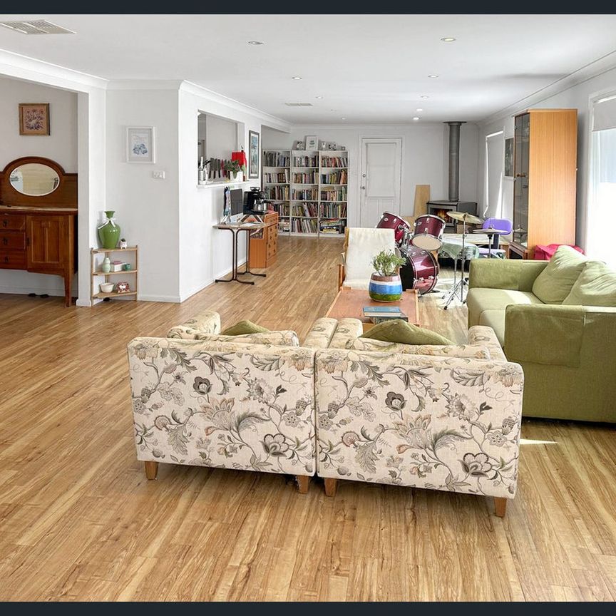 When Size Matters - Greenbah! - Photo 1