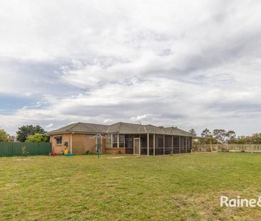 343 Cabbage Tree Road, Williamtown, NSW 2318 - Photo 3