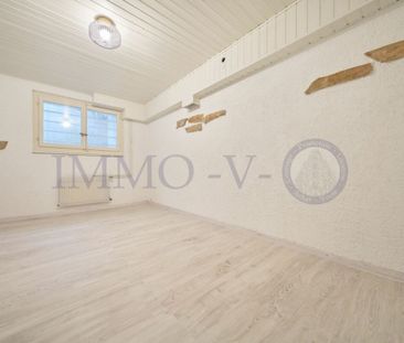 SPACIEUSE AVEC JARDIN, PISCINE ET VUE LAC - Photo 4