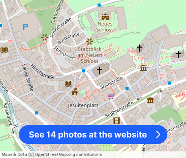 Traumhafte Altbauwohnung im Herzen der Stadt - Photo 1