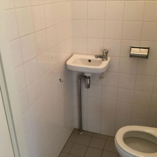 Ringslang 5 - Foto 1