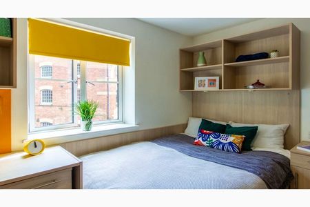 Platinum Studio / Platinum Studio Plus - Photo 4